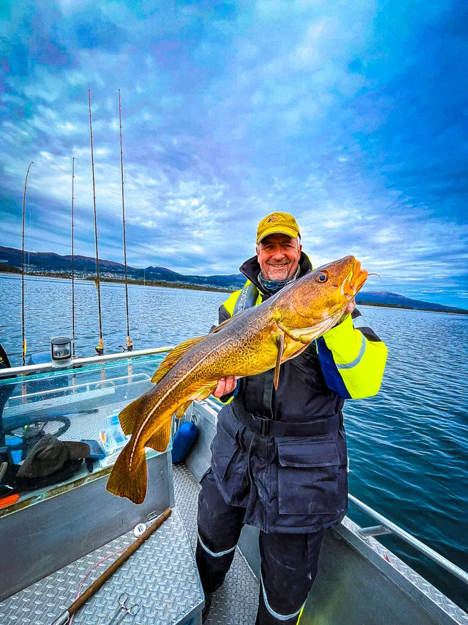 Angler beim Fang im Romsdalsfjord – Beste Zeiten zum Angeln im Romsdalsfjord