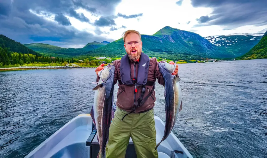 Romsdalfjord angeln Köhler Norwegen