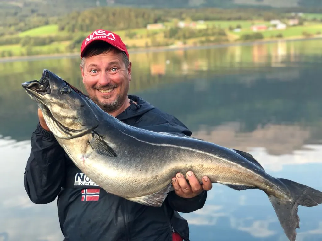 Angelgast hält seinen Fang vor dem Romsdalfjord