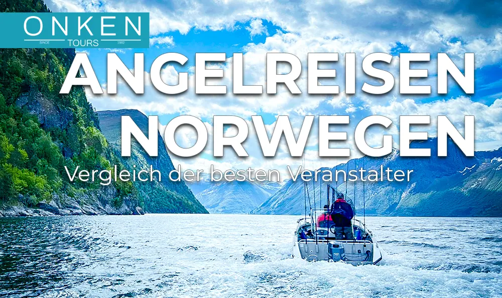 Angelreisen Norwegen Anbieter – Vergleich & Checkliste am Romsdalsfjord