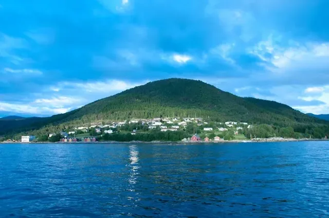 Blick vom Wasser auf grünes Fjordufer und Berge