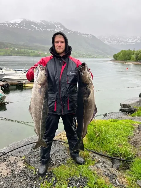 Angelgast mit zwei Fischen am Fjordufer